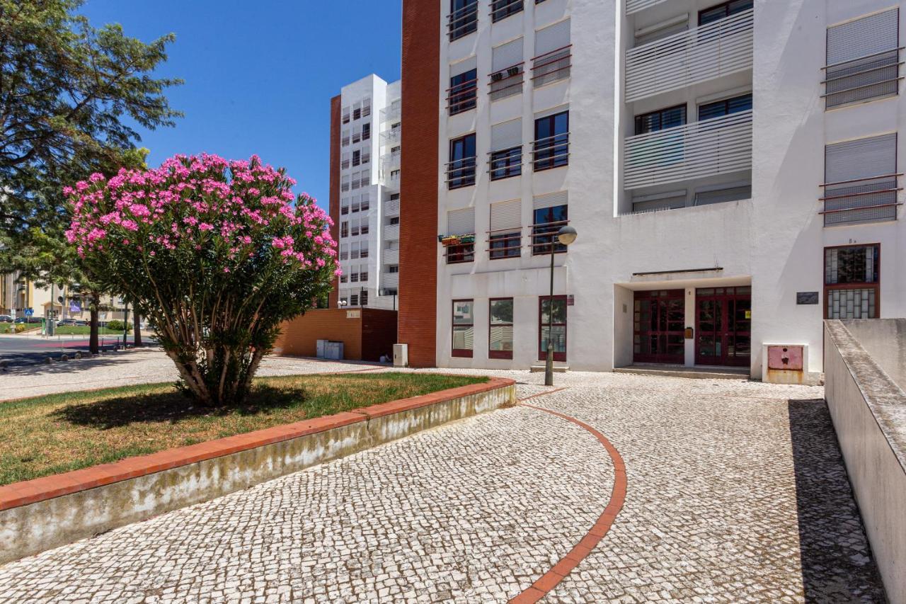 Joivy Sunny In Marvila * Lissabon